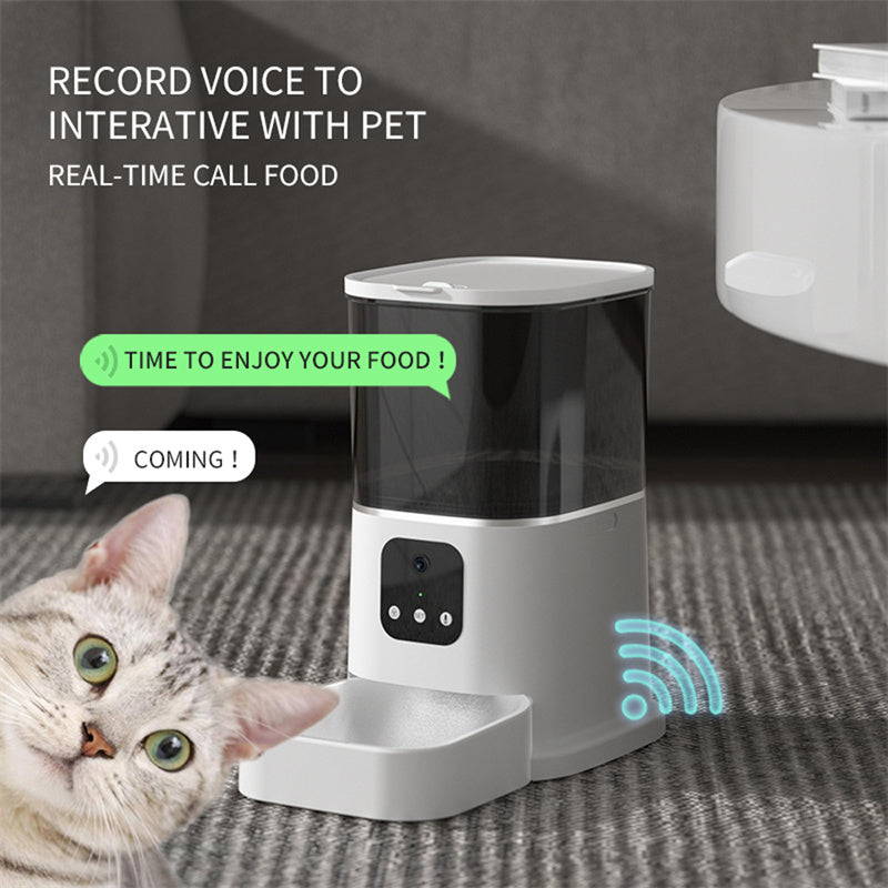 Pet feeder available in green, orange, and purple colors"