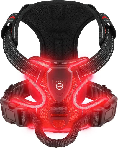 Black dog harness with red LED lights on a white background