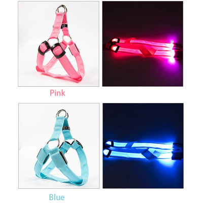 Pink and blue LED dog harnesses with light-up features on a white background.