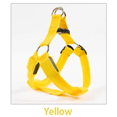 Yellow dog harness on a white background