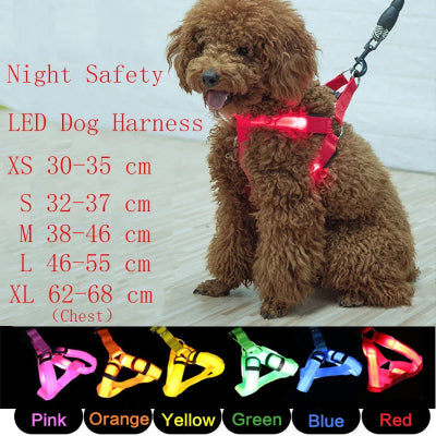 Dog wearing a red LED harness with size chart and color options displayed.