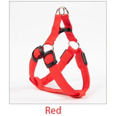Red dog harness on a white background