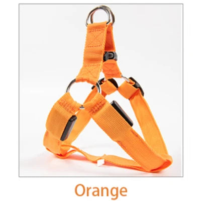 Orange dog harness on a white background