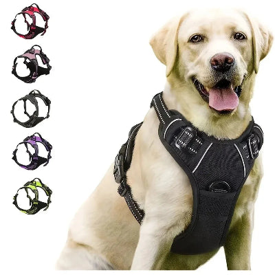 Dog wearing a black harness with color options displayed on a white background