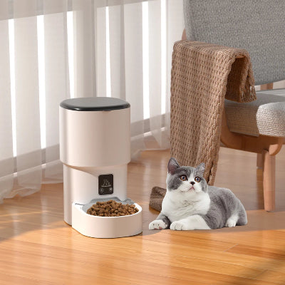 Cat sitting next to a pet food dispenser on a wooden floor.