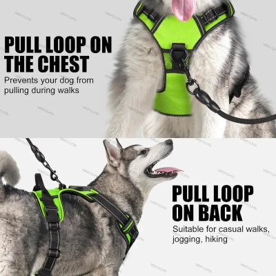 Dog harness with pull loop on chest and back, featuring a husky.