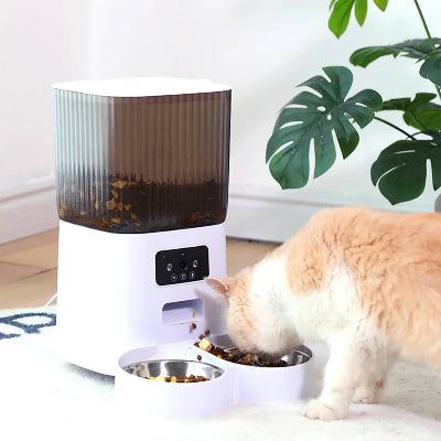 Cat eating from a modern pet feeder with a plant in the background