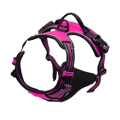 Pink and black dog harness on a white background