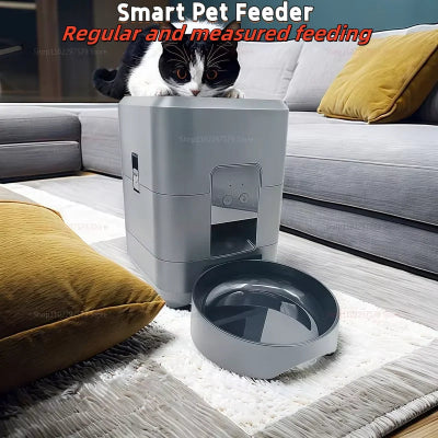 Smart pet feeder with a cat looking inside, placed on a carpeted floor.