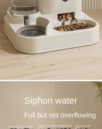 Pet feeder with water dish on a wooden floor