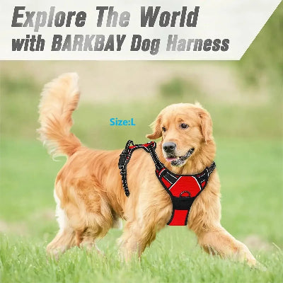 Dog wearing a red and black harness with 'BARKBAY' branding, standing on grass.