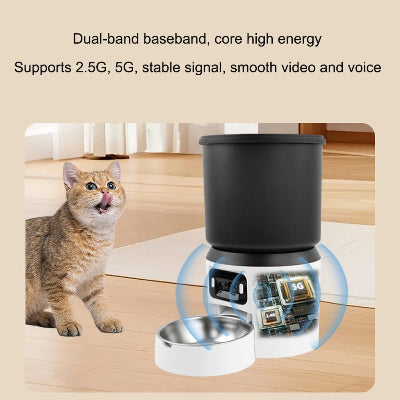 Cat next to a black electronic device with a digital display on a wooden floor.