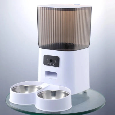 Pet feeder with two bowls on a glass surface