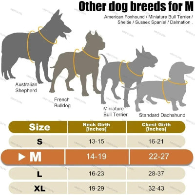 Dog breed size chart for medium-sized dogs with silhouette illustrations and measurements.