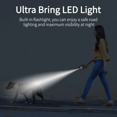 Woman walking a dog with an LED light on a dark background