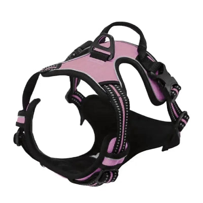 Pink and black dog harness on a white background