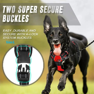 Dog wearing a red harness with 'Two Super Secure Buckles' text and close-up inset.
