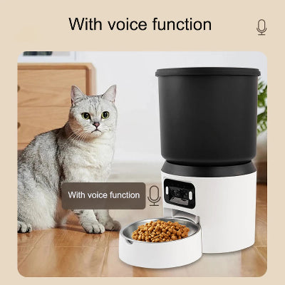 Cat sitting next to an automatic pet feeder with a bowl of food on a wooden floor.