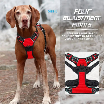 Dog wearing a red and black harness with text about adjustment points on a natural background