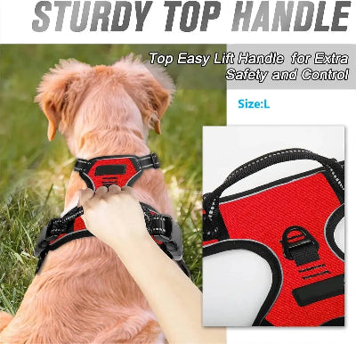 Dog wearing a red and black harness with a 'Sturdy Top Handle' feature, held by a person.