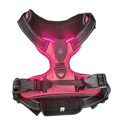 Pink and black dog harness on a white background